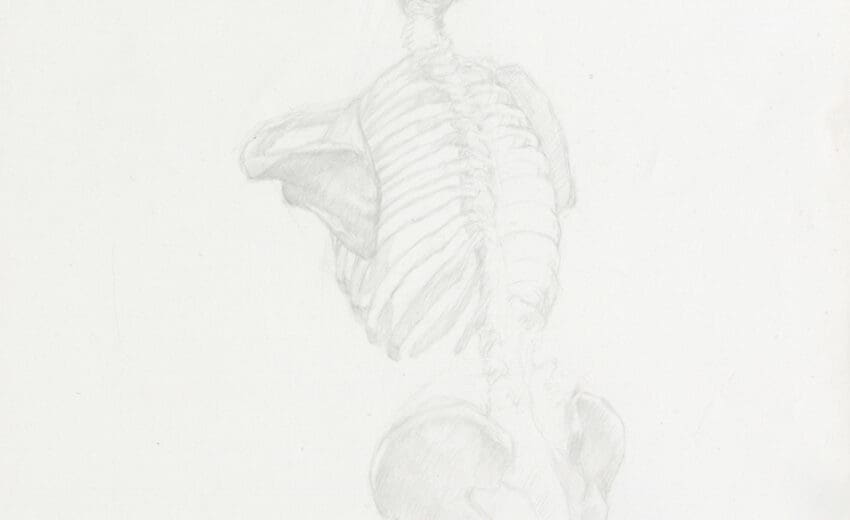 Anatomy Drawing 101